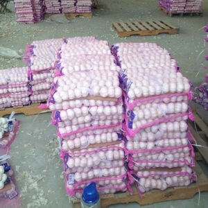 Fresh Chinese Garlic 50mm – mesh bag – Grade A Export